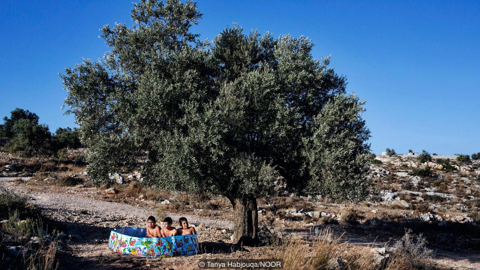 Startling Images Of The Middle East - Occupied Pleasures Tanya Habjouqa - HD Wallpaper 