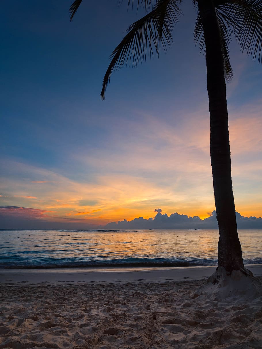 Vacation, Beach, Sunset, Palm Trees, Beautiful, Mobile - Keindahan Alam Ciptaan Allah - HD Wallpaper 