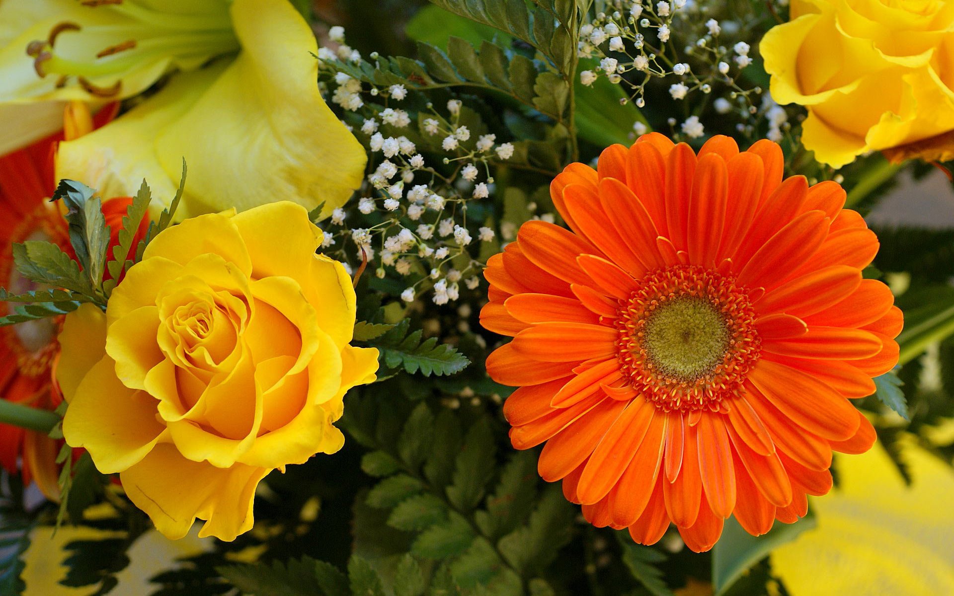 Beautiful Flower Garden Images For Desktop - HD Wallpaper 