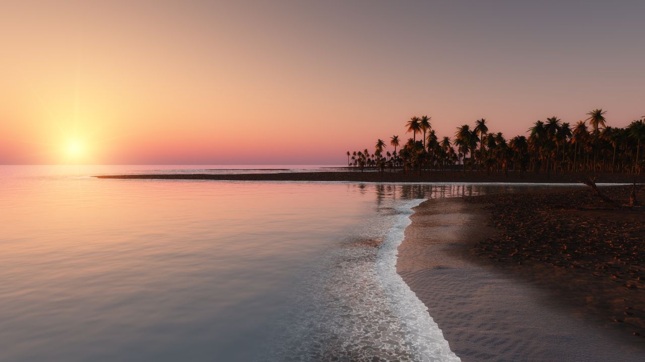 Palm Tree Beach Sunset - HD Wallpaper 