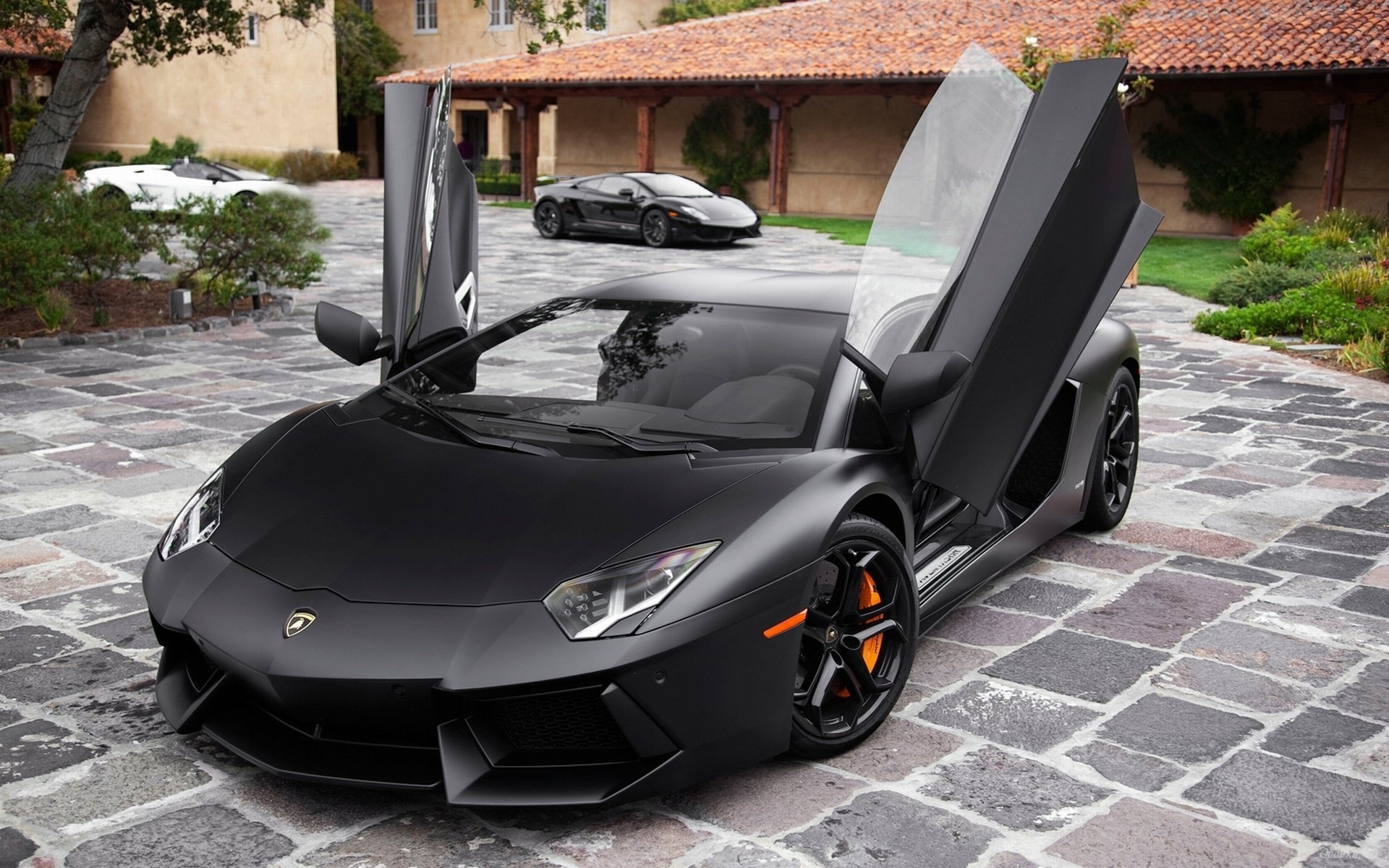 Black, Car, And Lamborghini Image - Lamborghini Aventador Open Doors - HD Wallpaper 