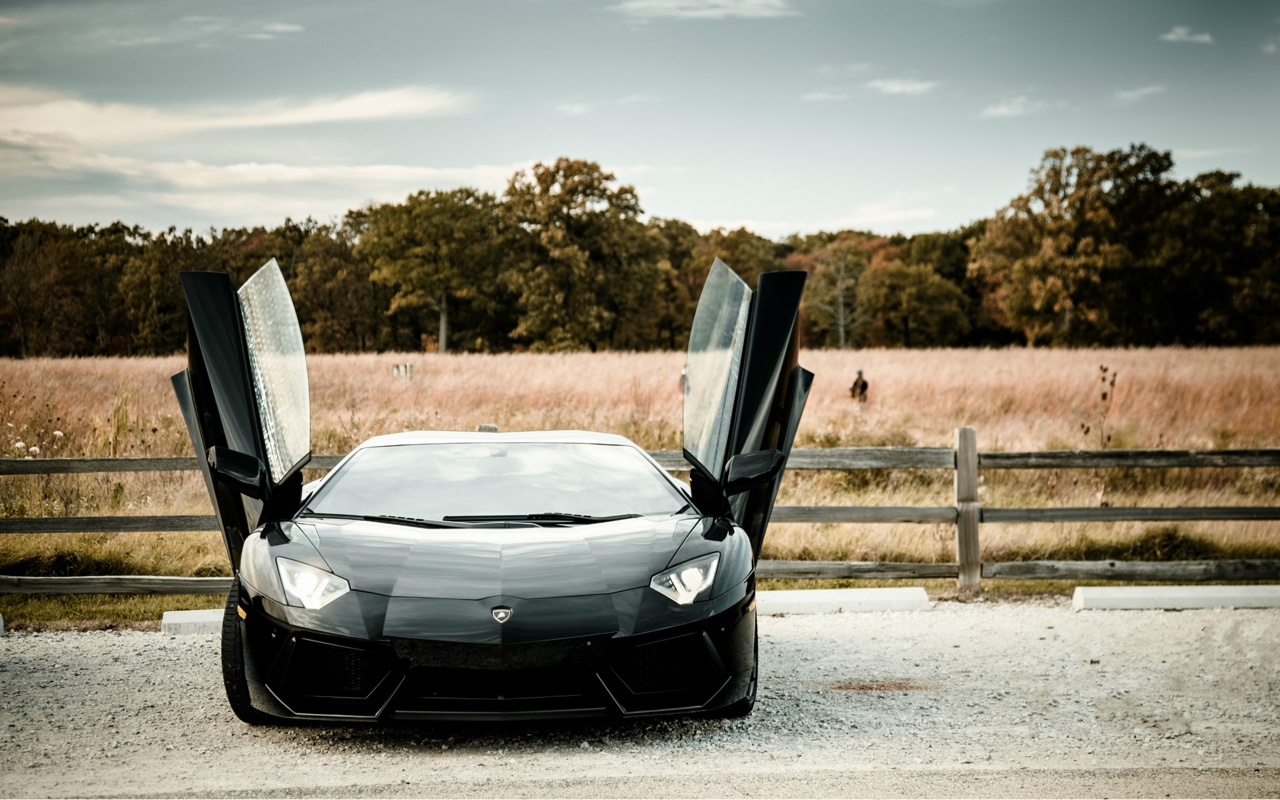 Lamborghini Aventador Open Door Wallpaper - Lamborghini Aventador Open Door - HD Wallpaper 