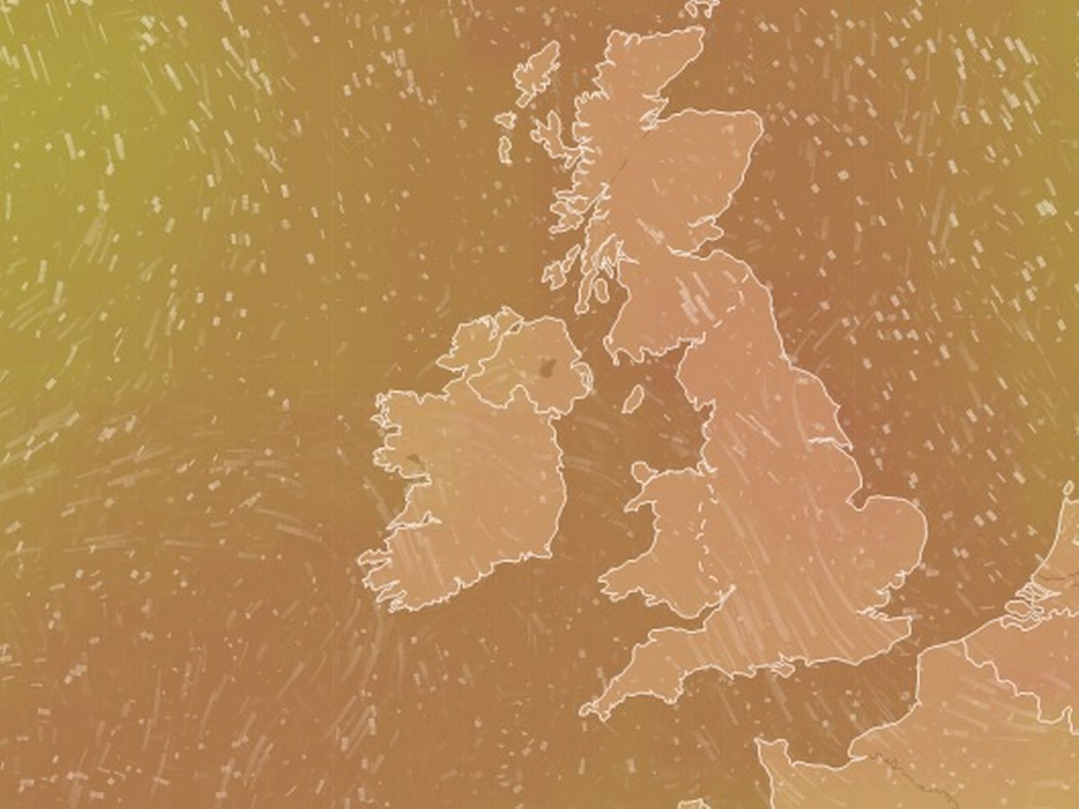 Wallpaper - HD Wallpaper 