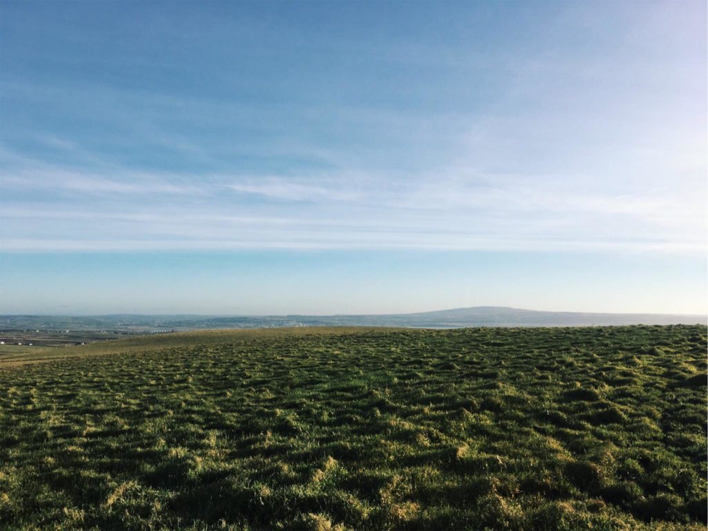 Field - HD Wallpaper 