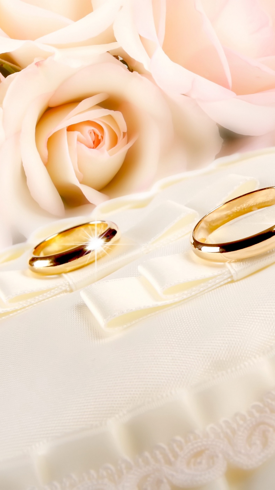 Wallpaper Rings, Wedding, Gold, Glitter, Fabric, Flower, - Iphone 8 Rose Gold - HD Wallpaper 
