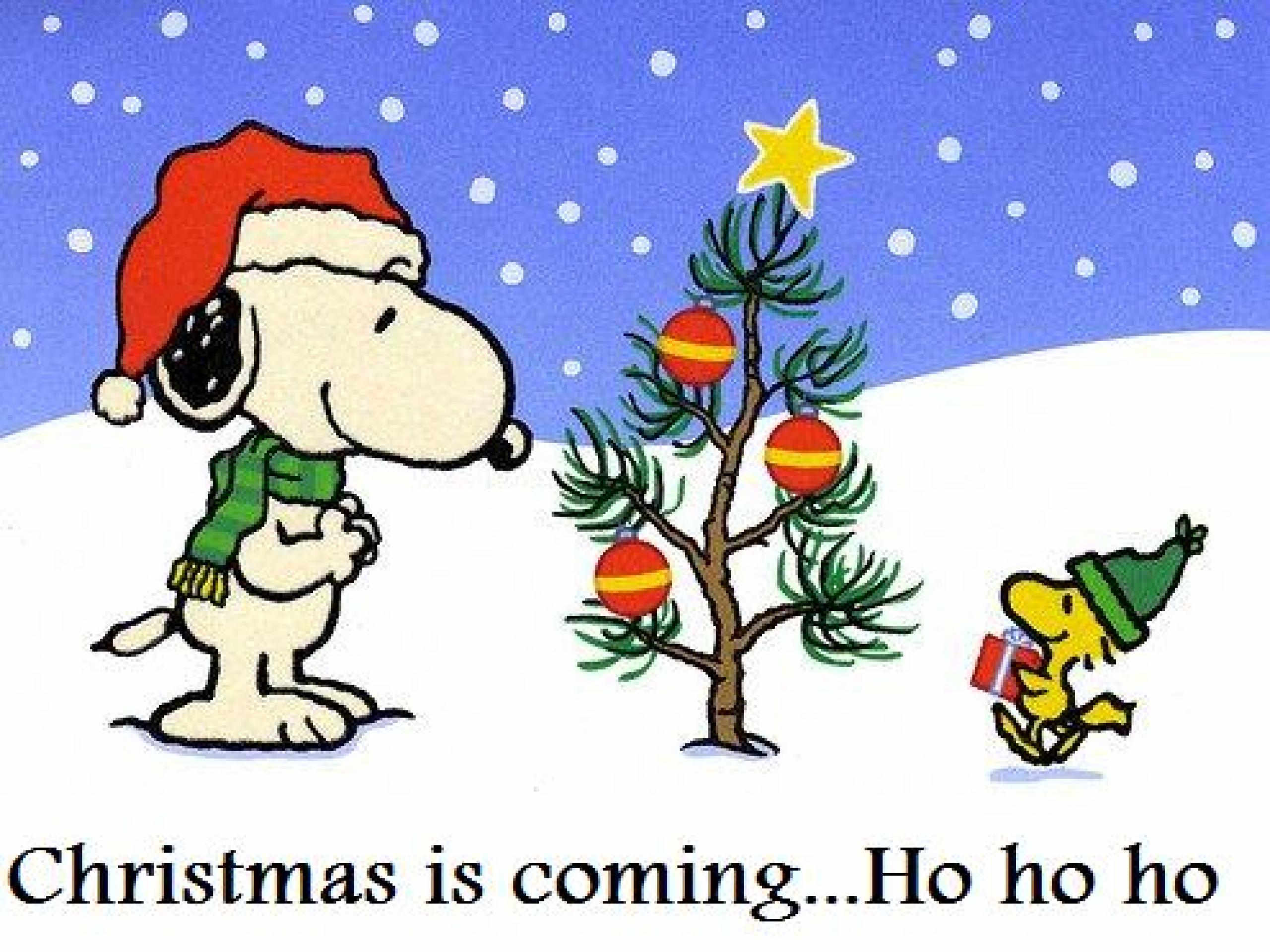 Free Snoopy Christmas Computer Wallpaper - Snoopy Christmas Is Coming - HD Wallpaper 