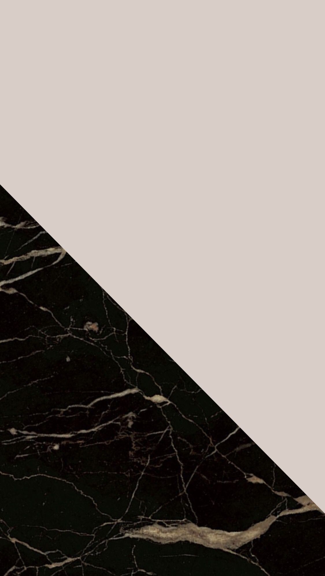 Spider Web - HD Wallpaper 