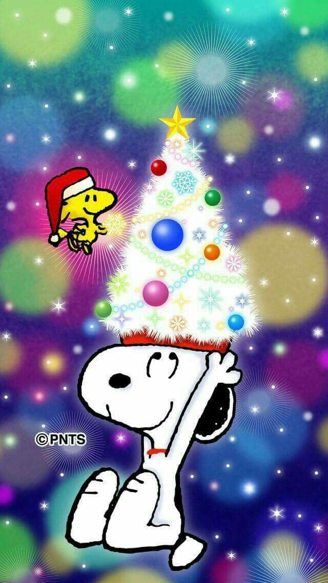 Merry Christmas From Snoopy - HD Wallpaper 