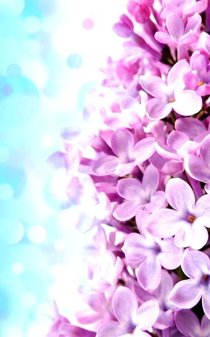 Flowers Iphone Wallpaper Pink Flower Wallpaper Flower - Iphone Wallpaper Lilac - HD Wallpaper 