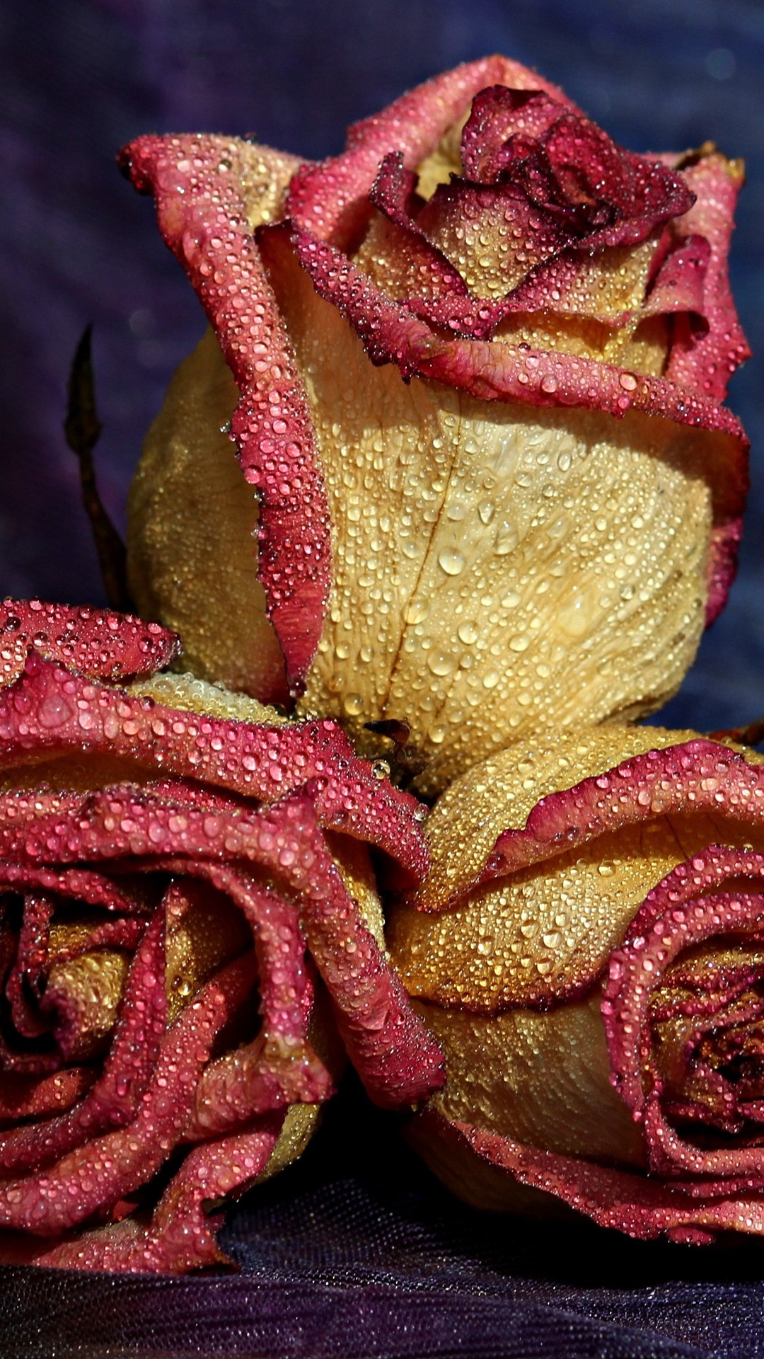 Raaton Ki Neend Shayari - HD Wallpaper 