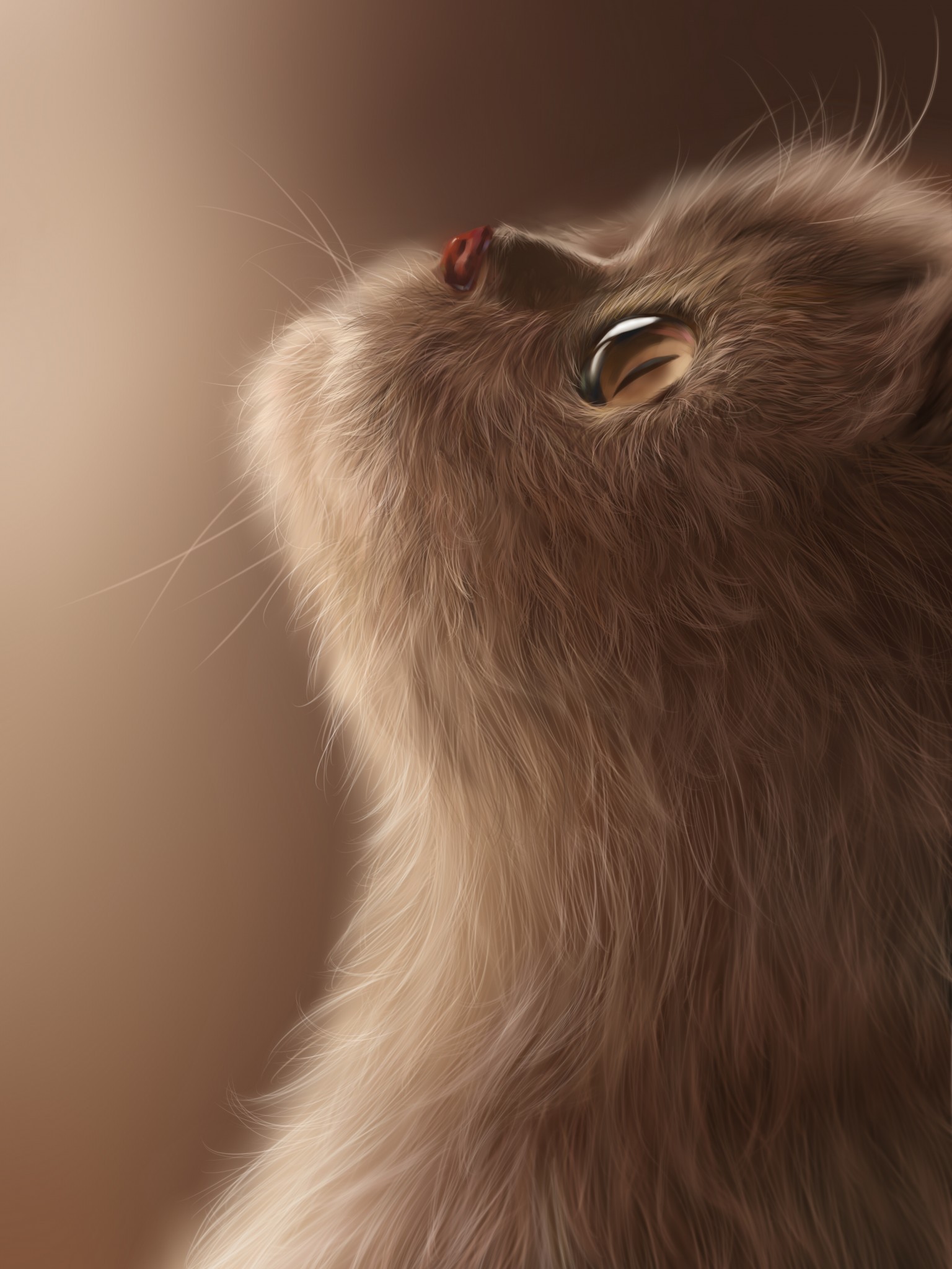 Cat, Digital Art, Fluffy, Cute, Neko - Domestic Long-haired Cat - HD Wallpaper 