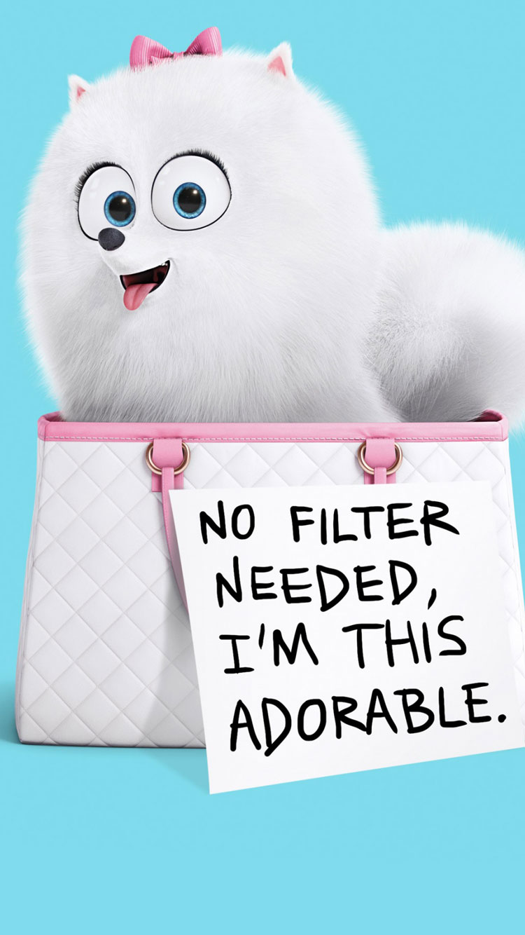 Gidget Secret Life Of Pets Cartoon - HD Wallpaper 