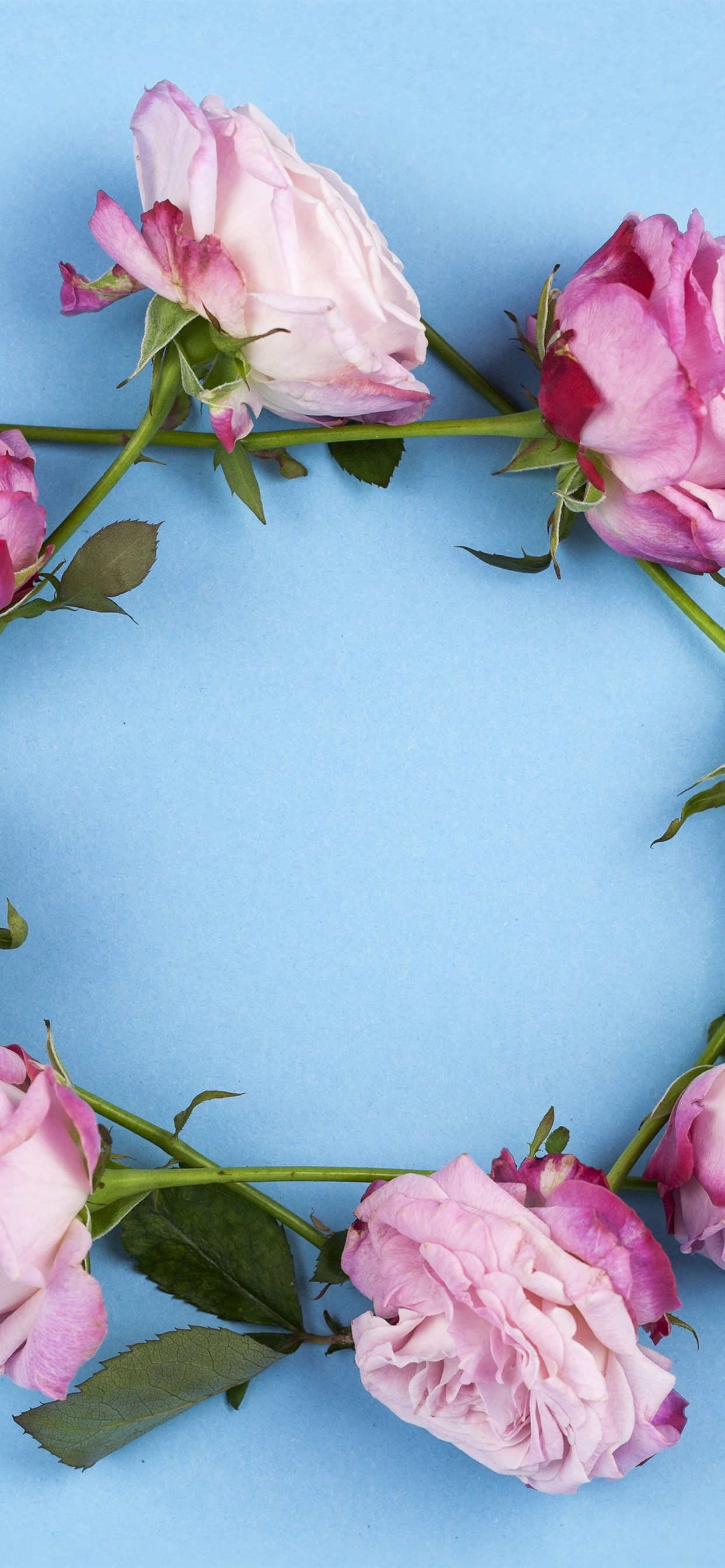 Iphone Wallpaper Pink Roses Wreath - Привітання З Днем Народження Анжеліка - HD Wallpaper 