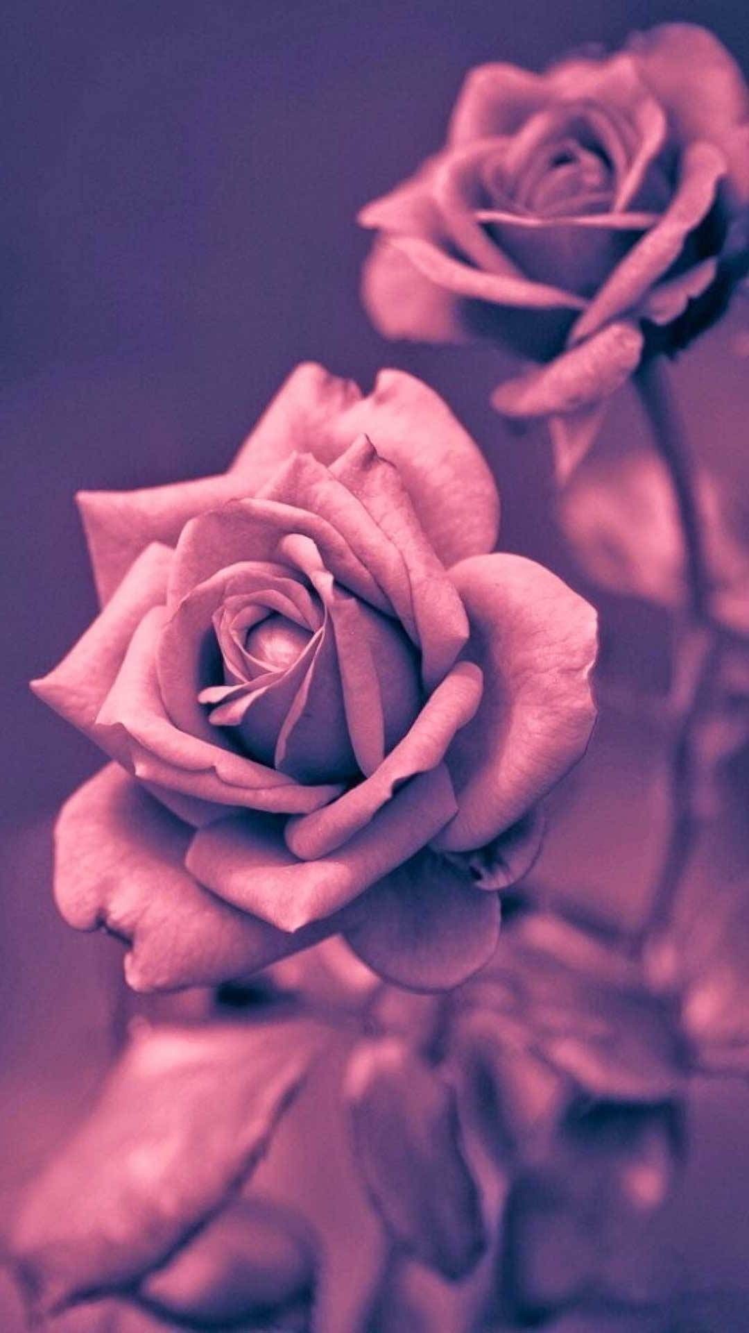1080x1920, Wallpaper Iphone 7 Original - Original Wallpaper For Iphone 7 - 1080x1920 Wallpaper 1080x1920, Wallpaper Iphone 7 Original - Original Wallpaper For Iphone 7 - 1080x1920 Wallpaper