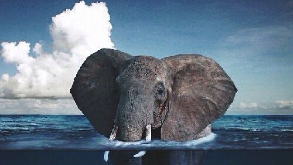 Iphone 6 Wallpaper Tumblr Hipster - Iphone 6 Wallpaper Elephants - HD Wallpaper 