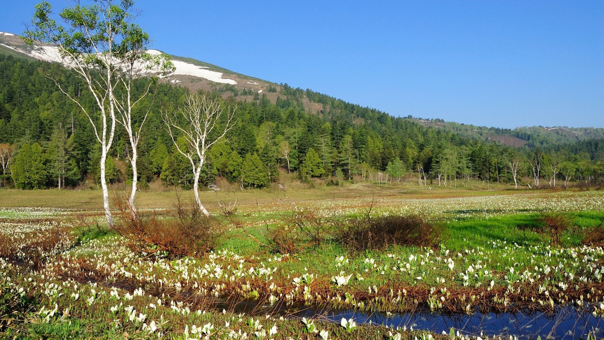 Wallpaper Latest Fashion Trends Most Beautiful Nature - Wallpaper - HD Wallpaper 