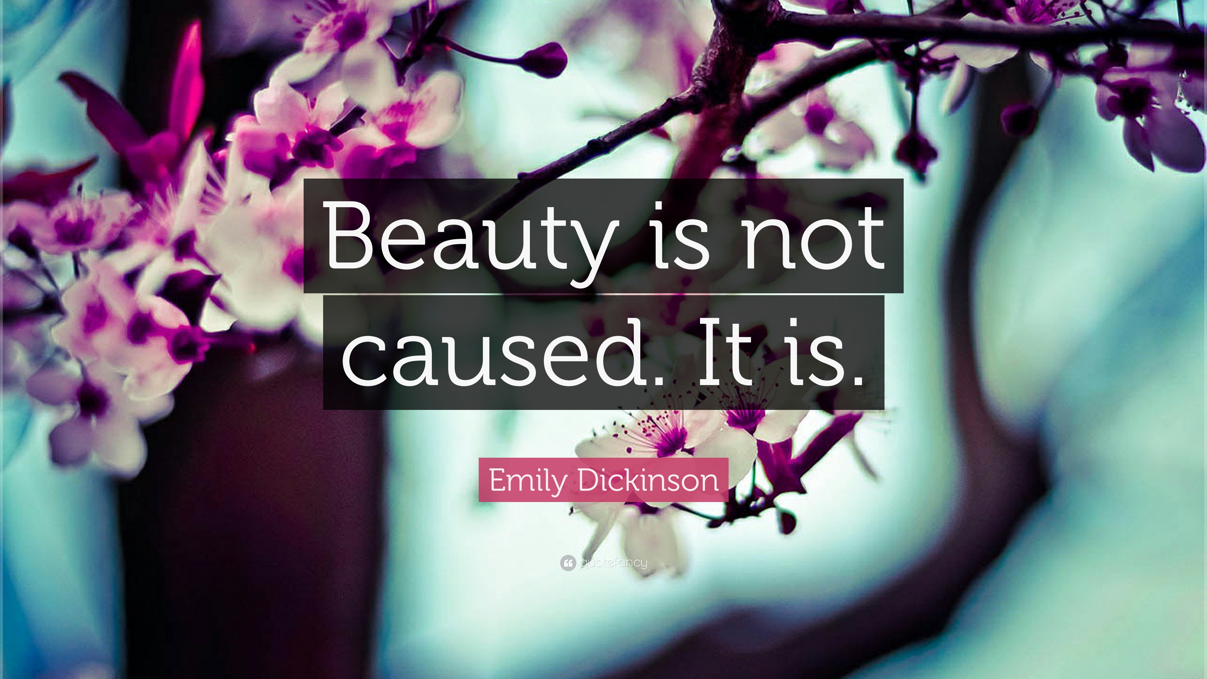 “beauty Is Not Caused - If You Can T See Anything Beautiful - HD Wallpaper 