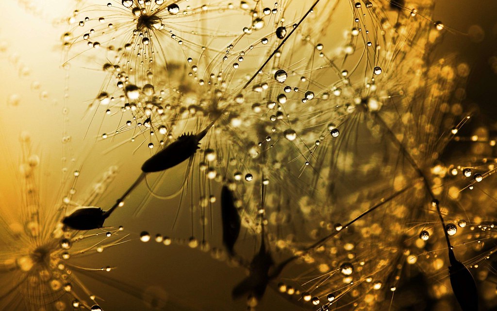 Beautiful Rain Images Free Download - HD Wallpaper 