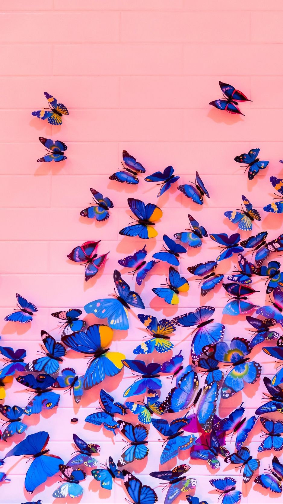 Butterfly Background - HD Wallpaper 