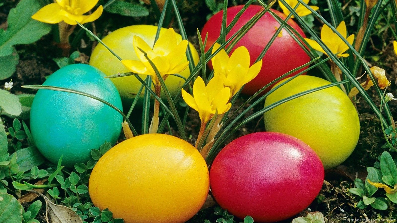 Easter - HD Wallpaper 