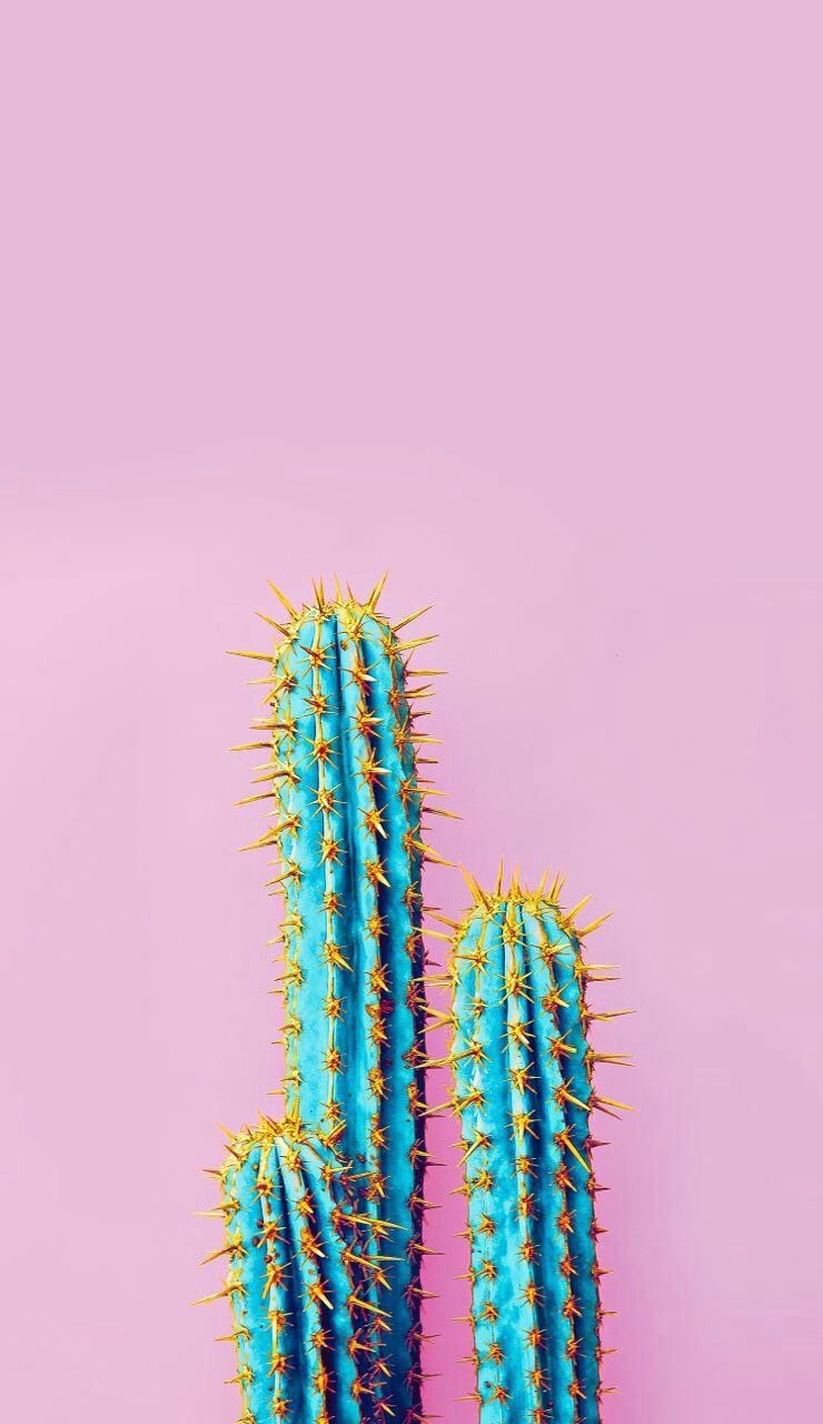 Pretty Wallpapers Tumblr - HD Wallpaper 