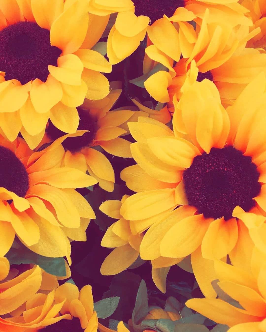 Fondos De Pantalla Kawaii - HD Wallpaper 