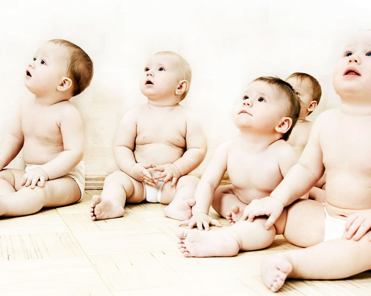 Interested Babies - HD Wallpaper 
