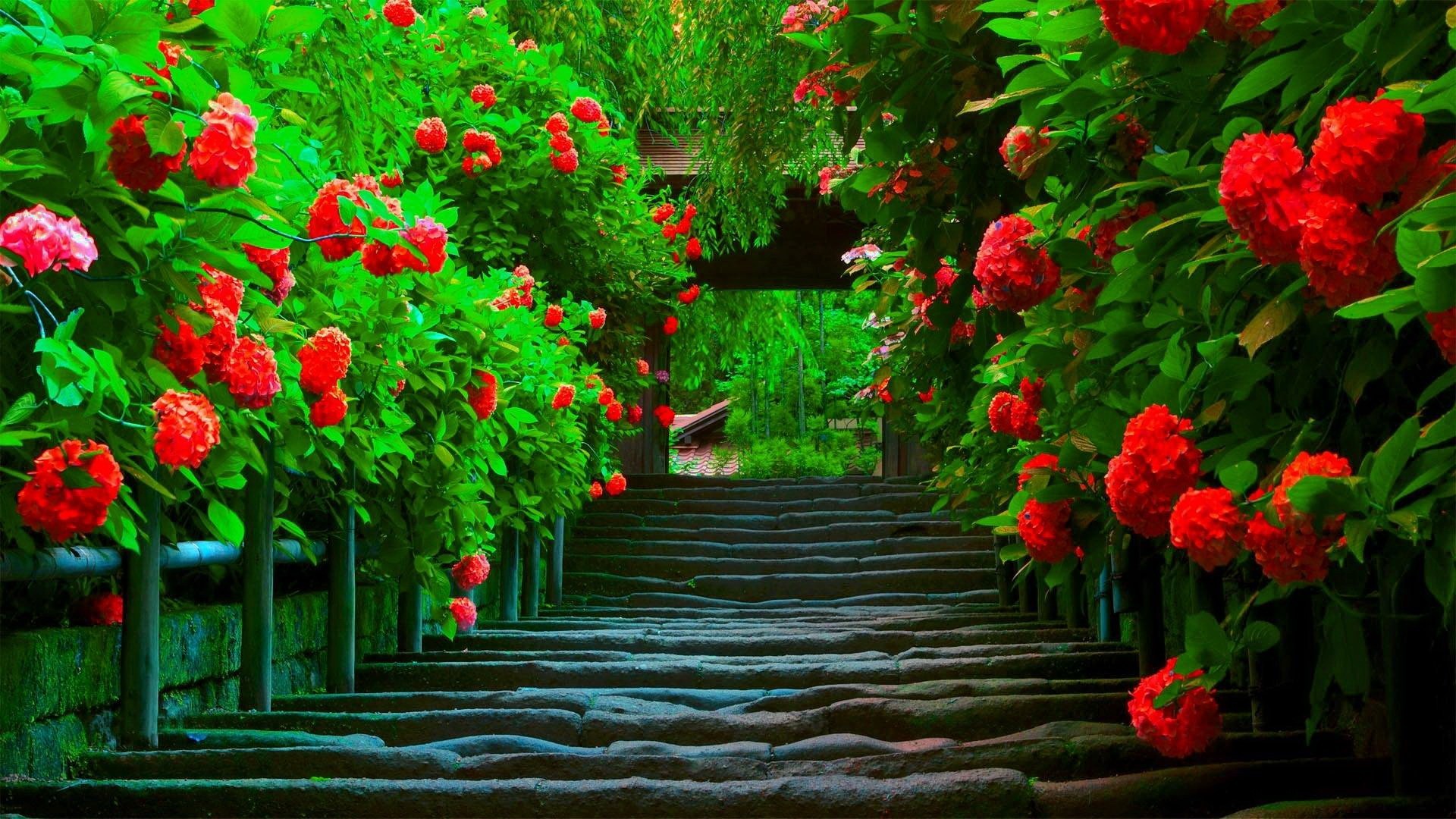 Beautiful Wallpapers For Laptop - 1920x1080 Wallpaper Beautiful Wallpapers For Laptop - 1920x1080 Wallpaper