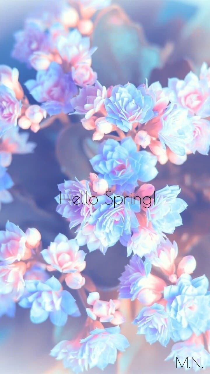 Pastel Aesthetic Flowers - 640x1137 Wallpaper - teahub.io