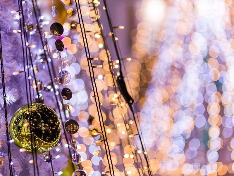 Wallpaper - HD Wallpaper 