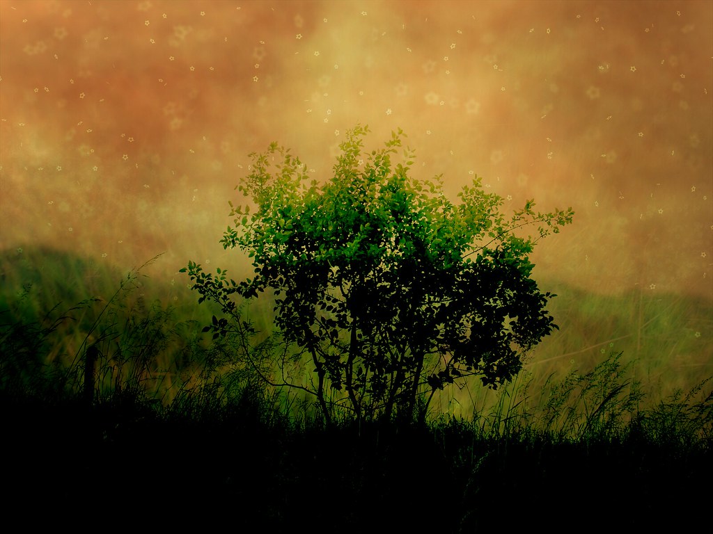 Dawn Of Ubuntu - HD Wallpaper 