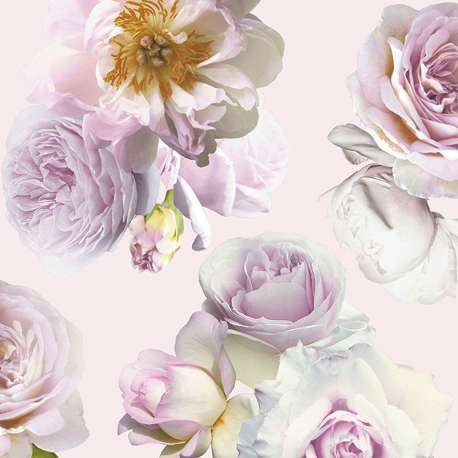 Arthouse Floral Bloom Wallpaper Blush Champagne - HD Wallpaper 