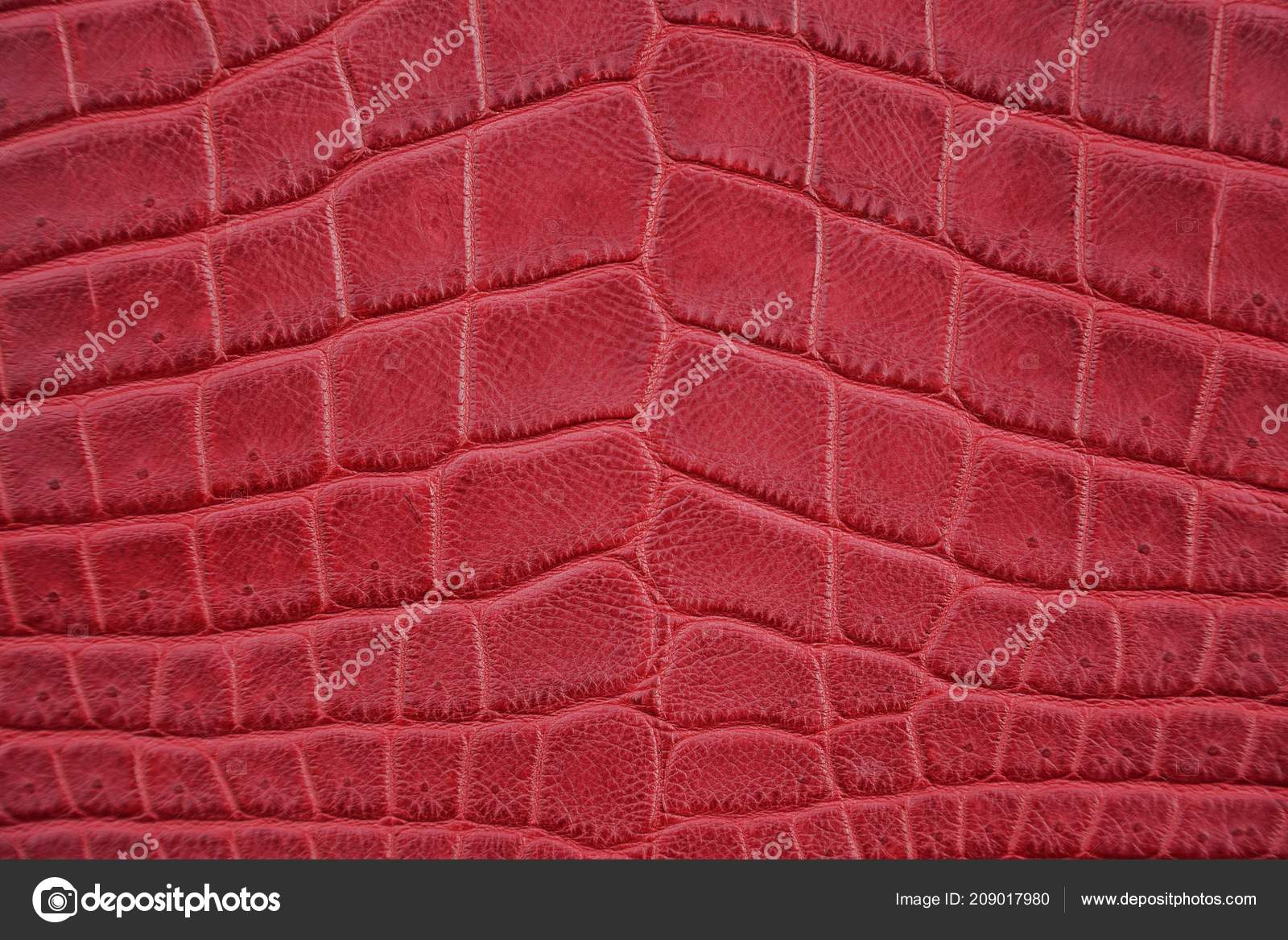 Piel De Cocodrilo Burdeos - 1600x1167 Wallpaper - teahub.io