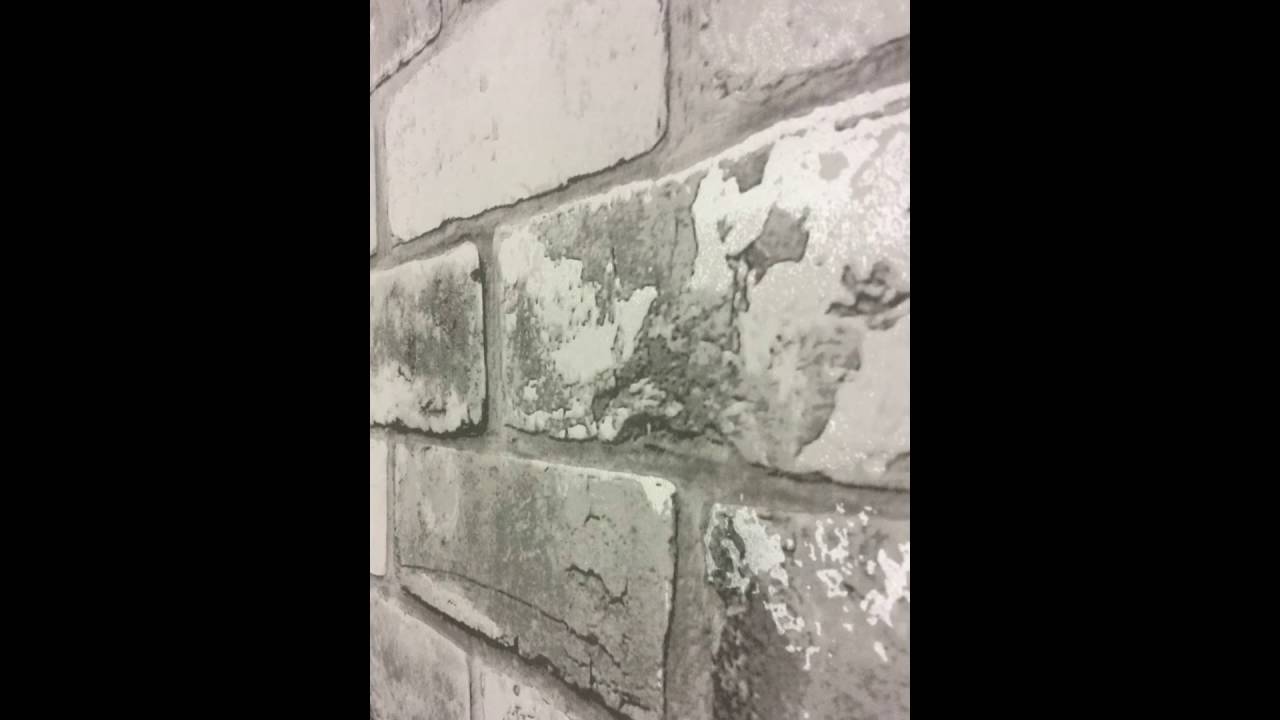 Wall - HD Wallpaper 