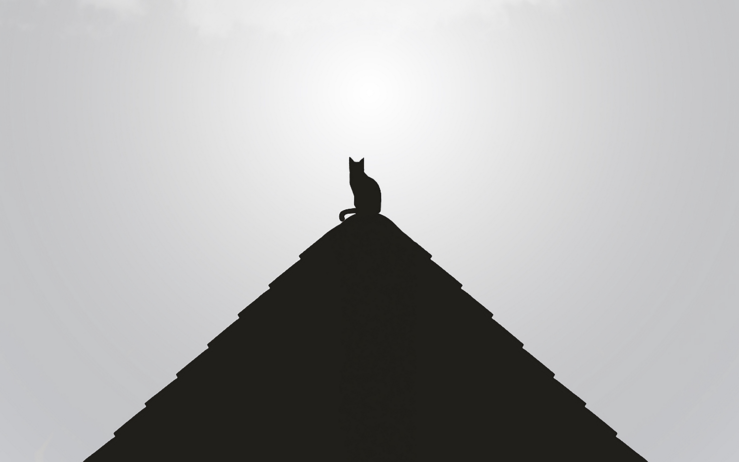 Wallpaper Roof, Cat, Black, Bw, Minimalism - Silhouette - HD Wallpaper 