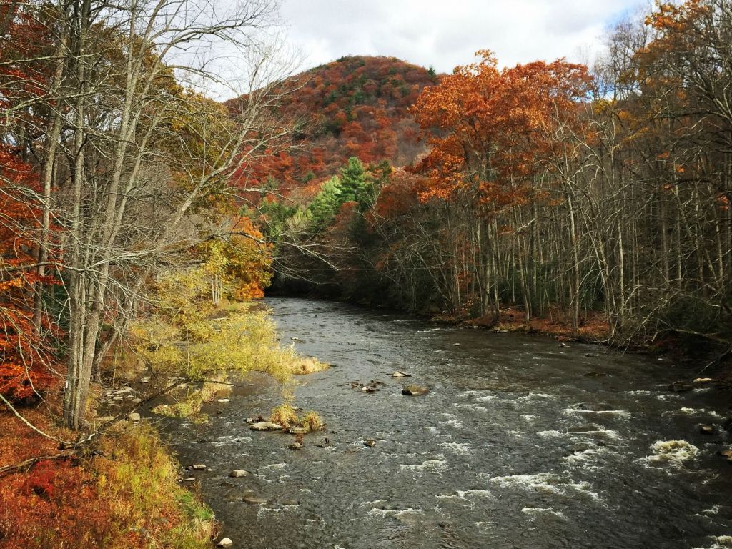 Standing On A Bridge Over Penn S Creek In Bald Eagle - Autumn - HD Wallpaper 