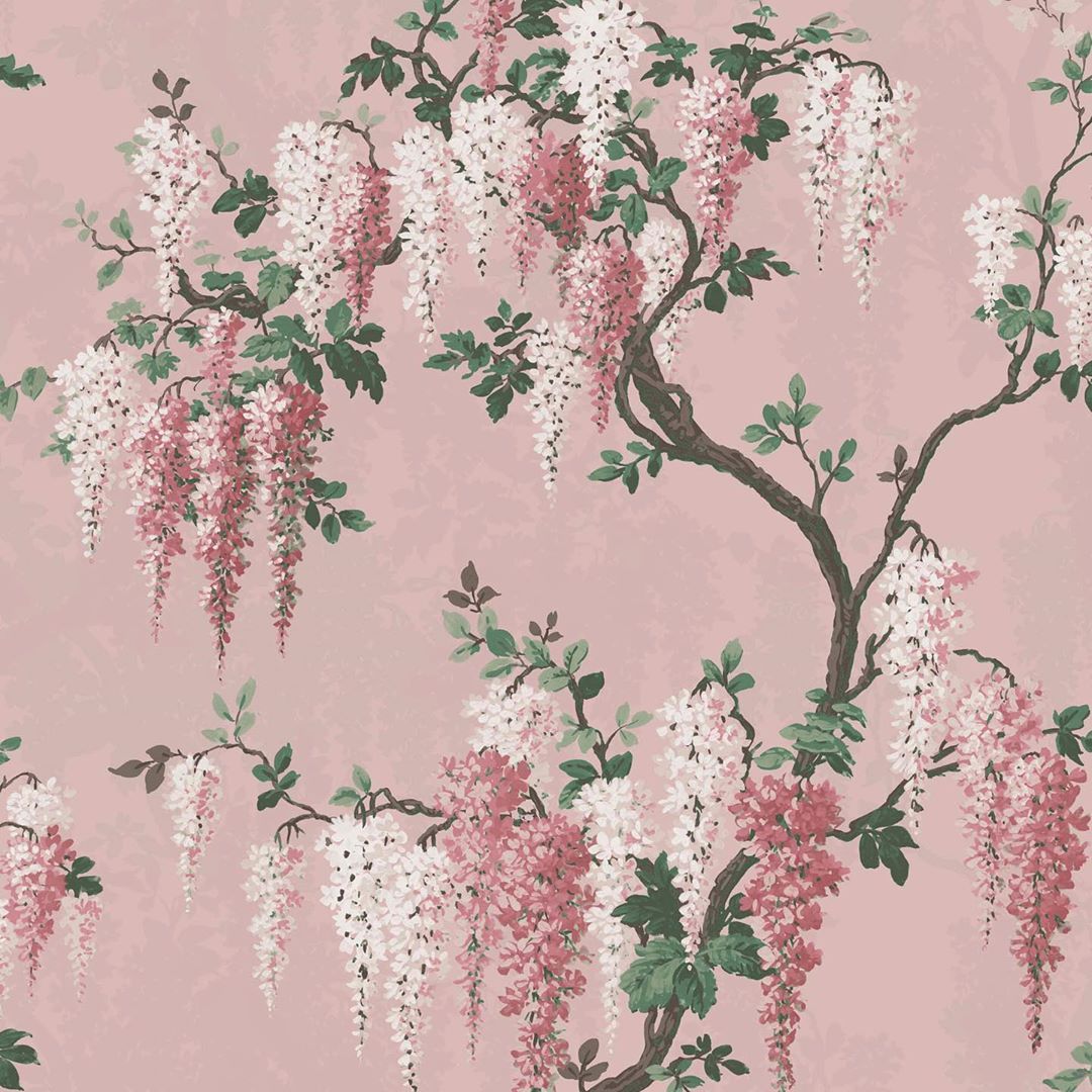 Pearl Lowe Wisteria - HD Wallpaper 