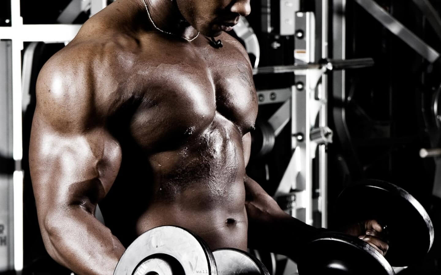 Body Man Fitness - HD Wallpaper 