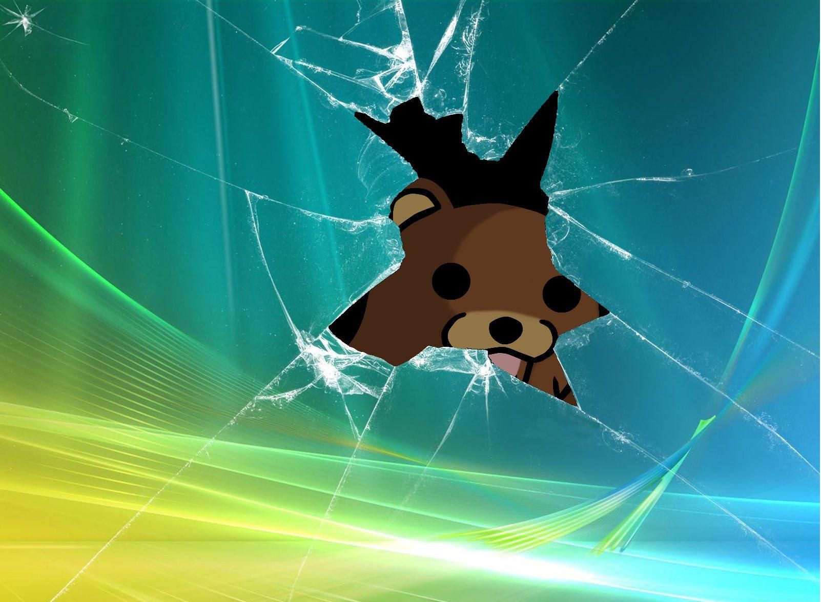 Bear In Broken Glass - HD Wallpaper 