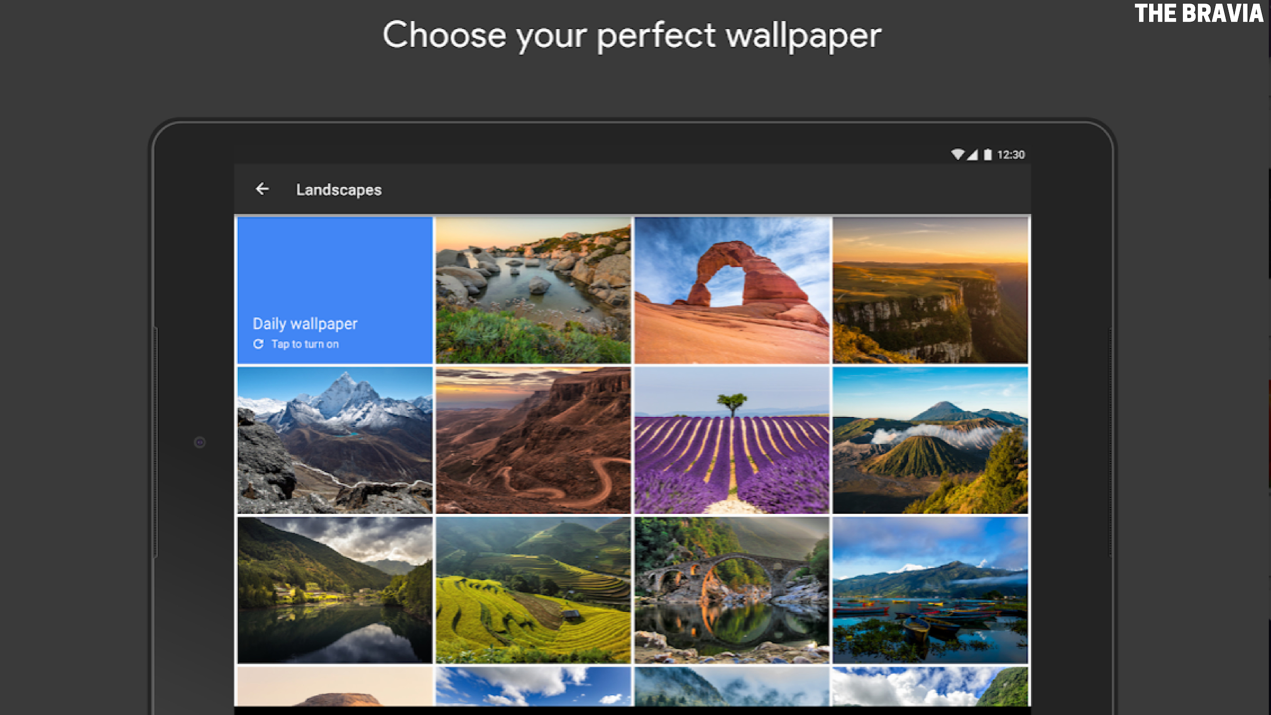 Wallpaper - HD Wallpaper 