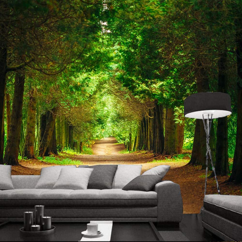 Imagens De Caminhos De Árvores - HD Wallpaper 