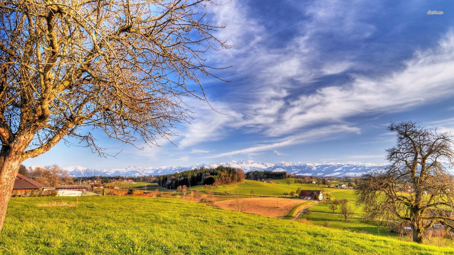 Wallpaper - HD Wallpaper 