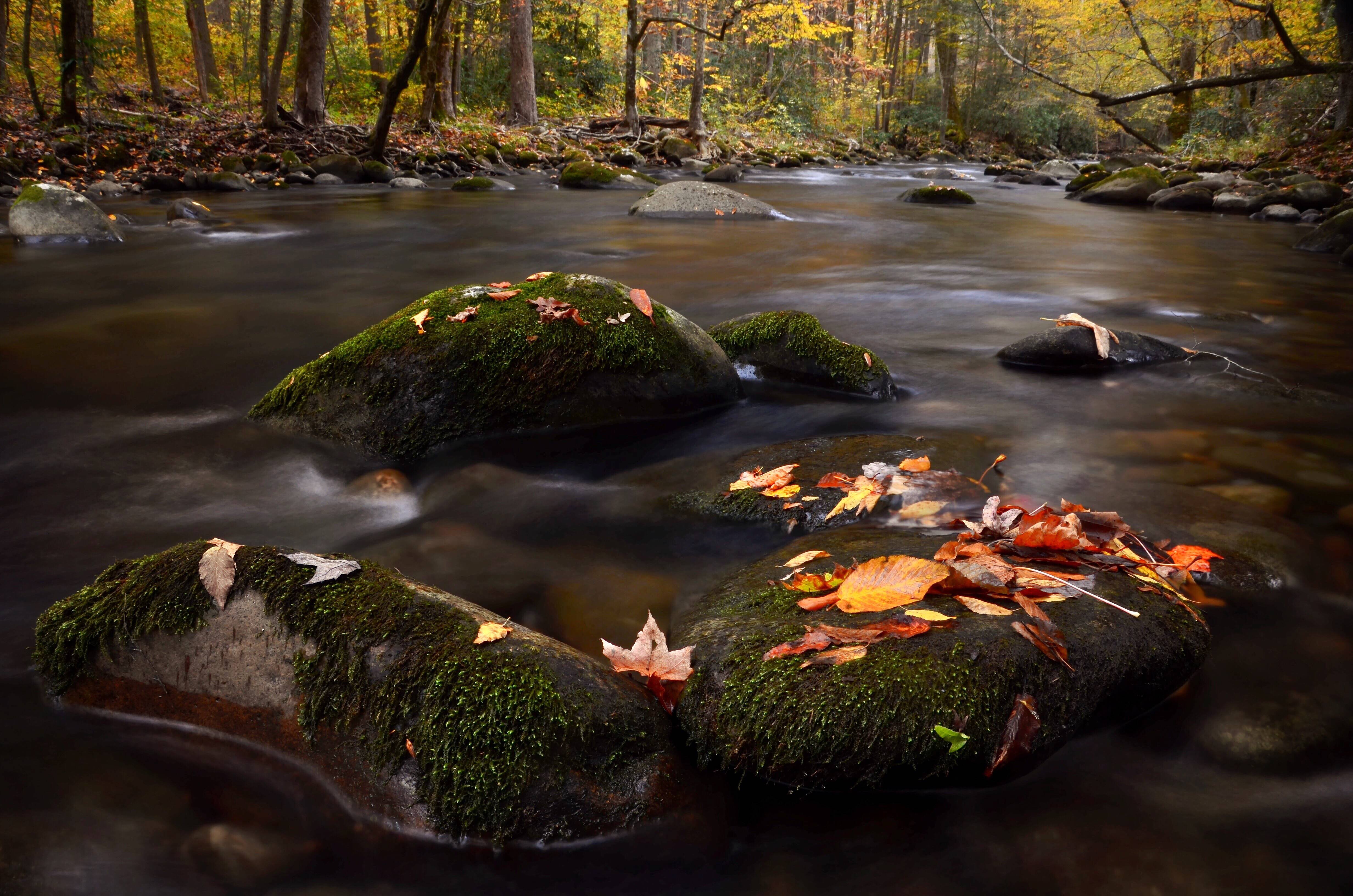 Smoky Mountains Stream - HD Wallpaper 