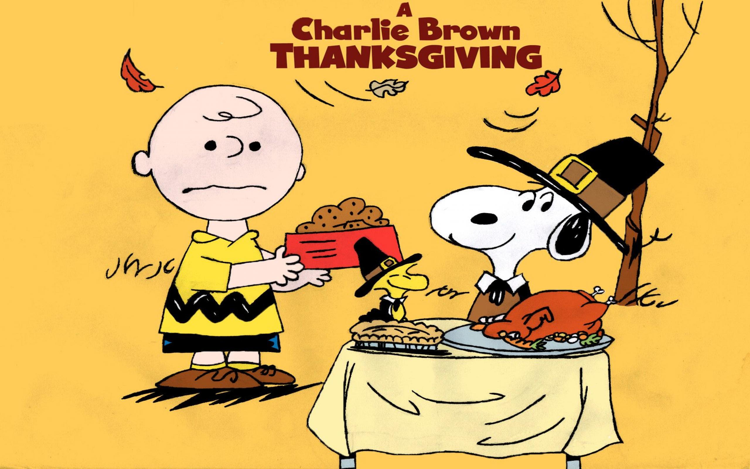 Free Charlie Brown Wallpaper - Thanksgiving Meme Charlie Brown - HD Wallpaper 