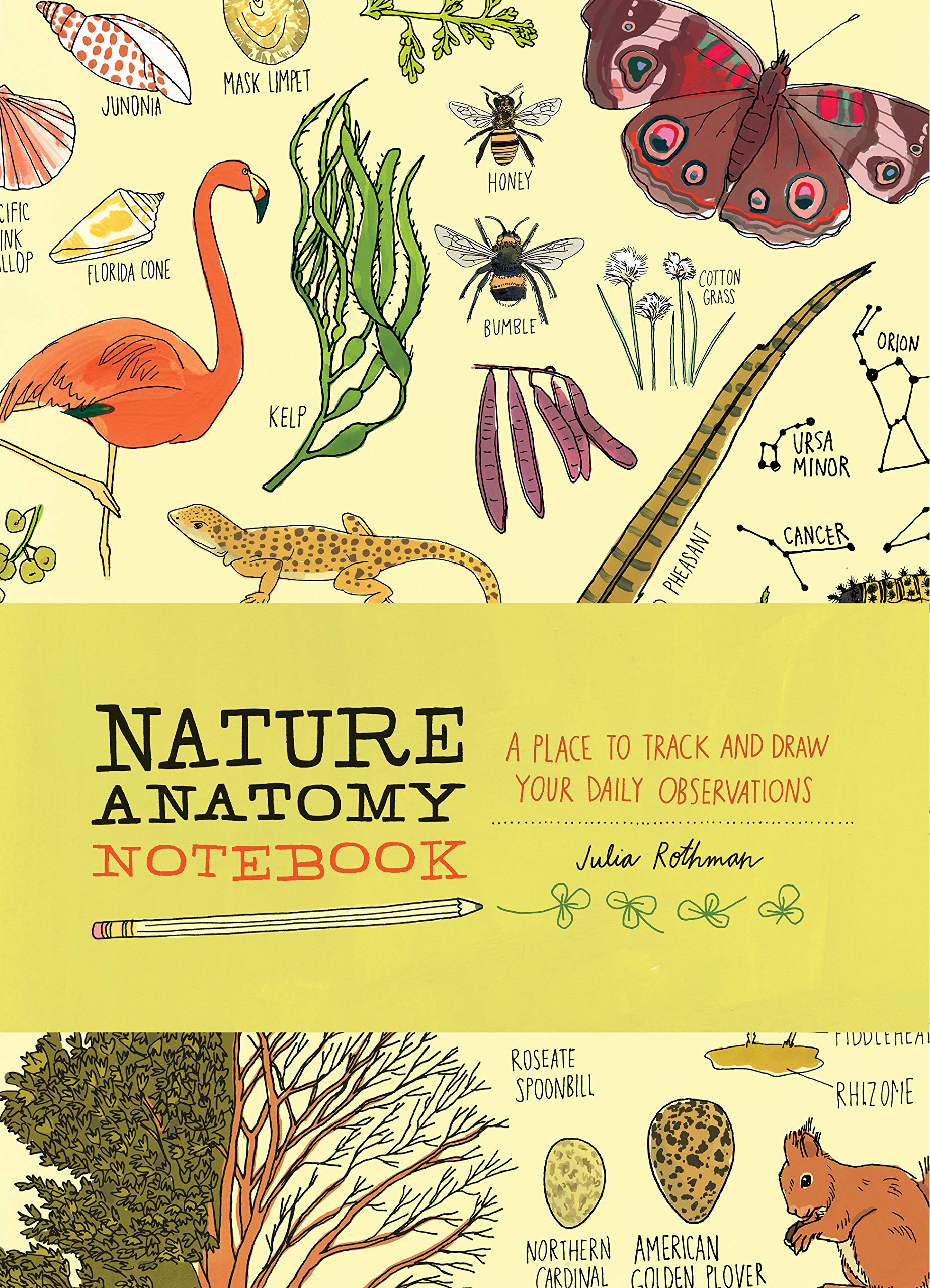 Nature Anatomy Notebook A Place To Track - HD Wallpaper 