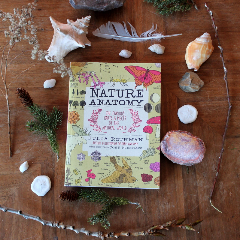 Nature Anatomy The Curious Parts & Pieces - HD Wallpaper 