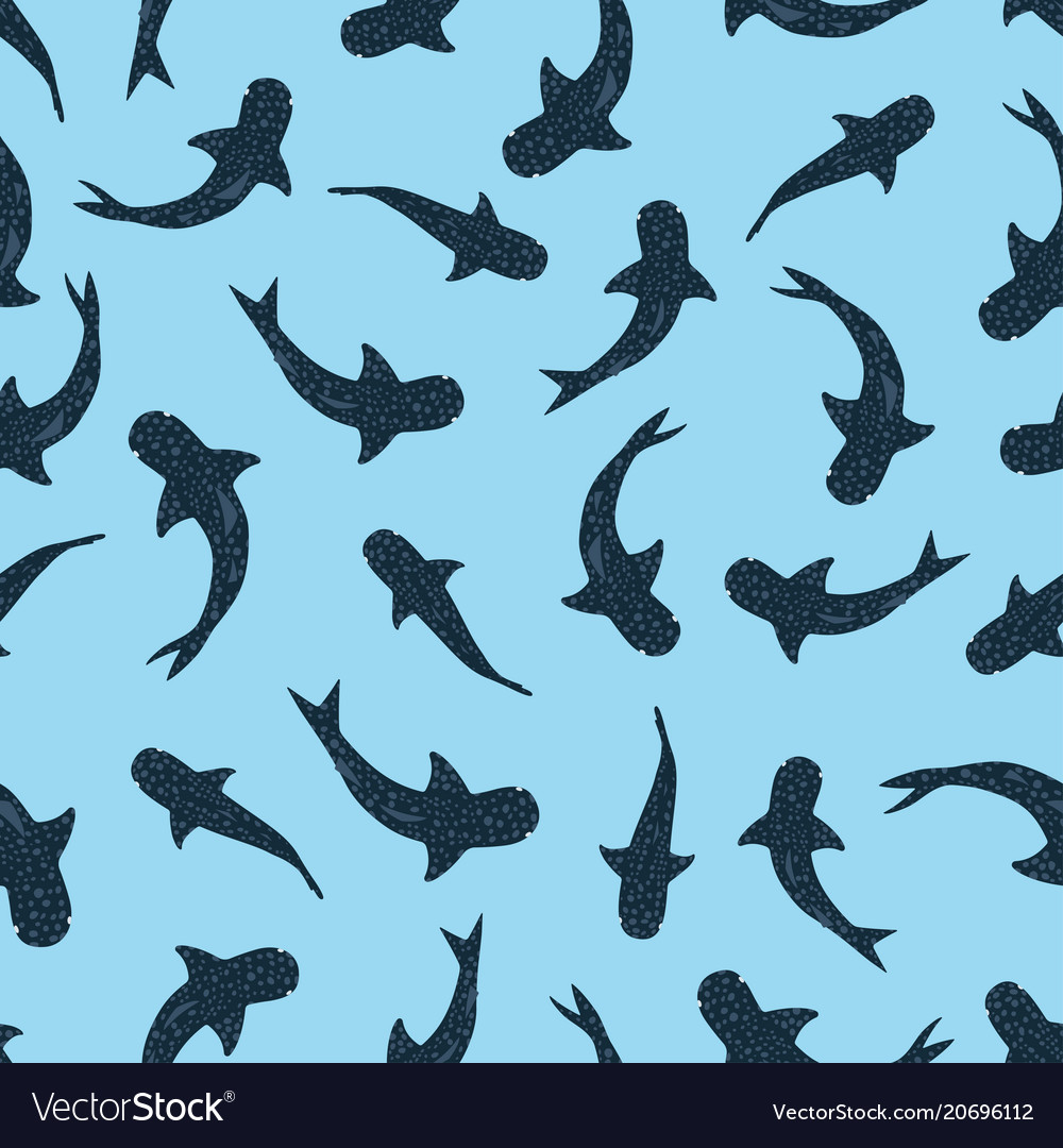Whale Shark Background Vector - HD Wallpaper 