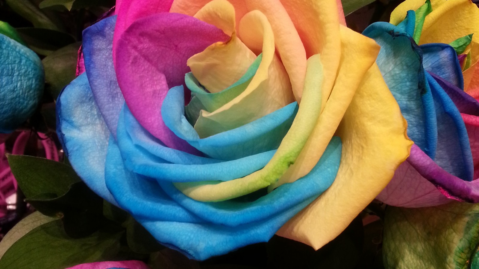 Rainbow Flower Iphone - HD Wallpaper 