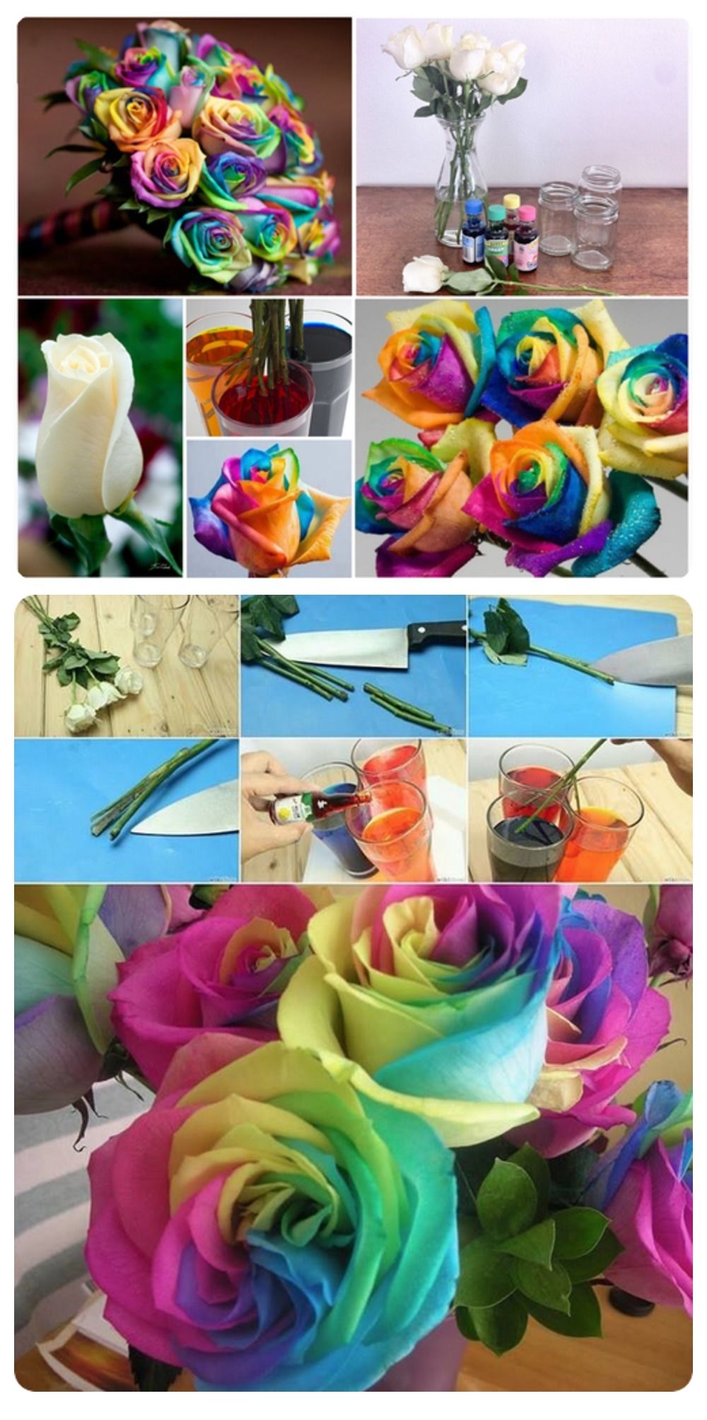 How To Make Rainbow Flowers - Step By Step How To Make Rainbow Flowers - HD Wallpaper 