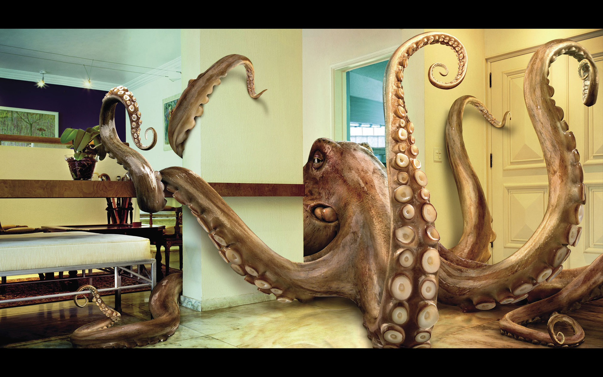 Weird Desktop Backgrounds - HD Wallpaper 